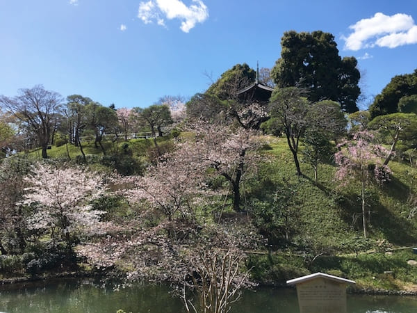 椿山荘の庭園